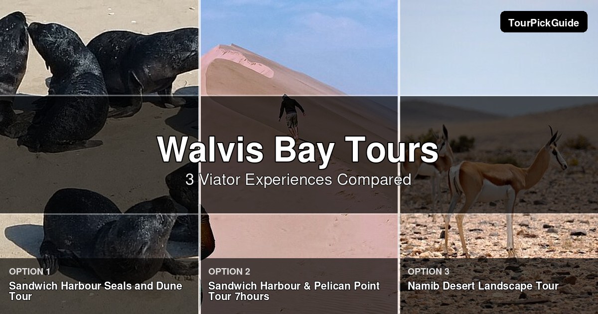 Walvis Bay tours – three Viator experiences compared
