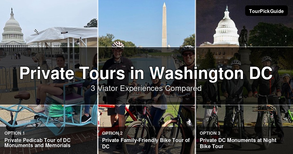 Washington DC private tours – three Viator experiences compared