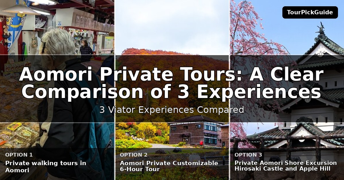 Aomori private tours – three Viator experiences compared
