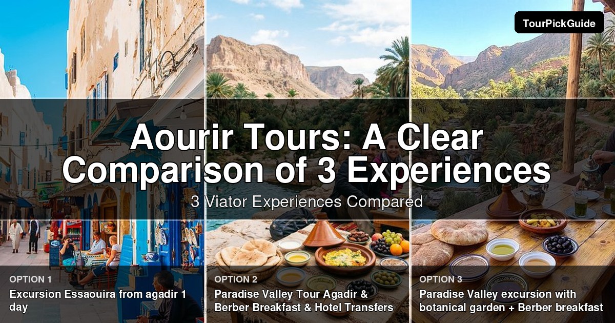 Aourir tours – three Viator experiences compared