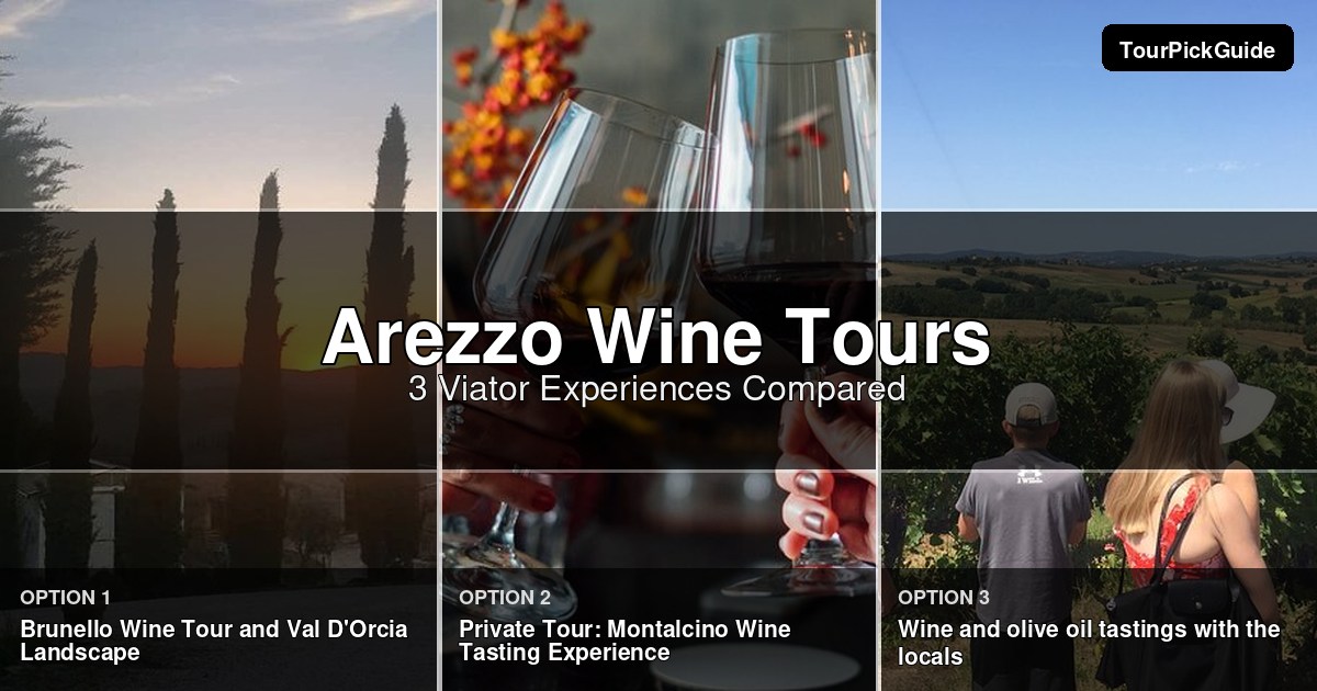 Arezzo wine tours – three Viator experiences compared