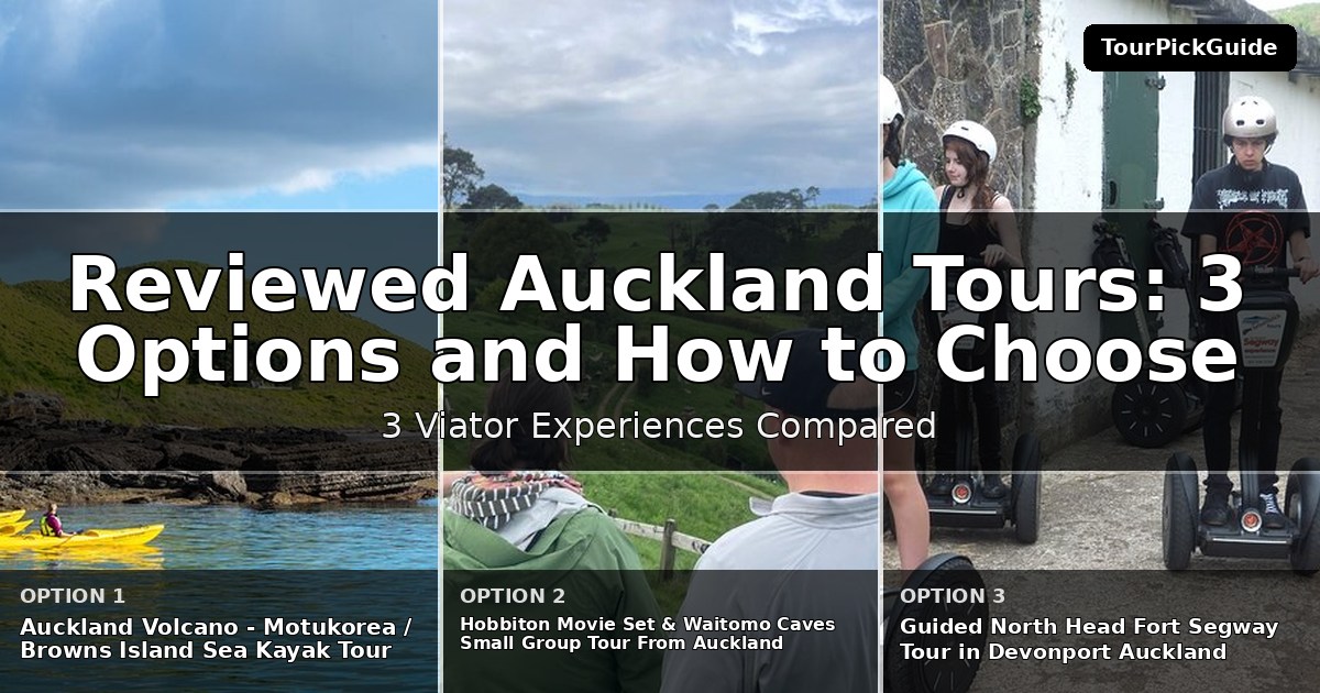 best reviewed Auckland tours – three Viator experiences compared