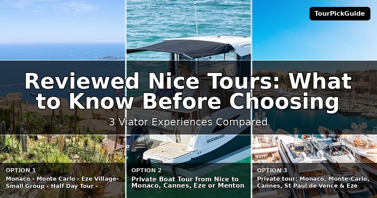 best reviewed Nice tours – three Viator experiences compared
