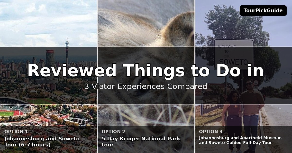 best reviewed things to do in Johannesburg – three Viator experiences compared