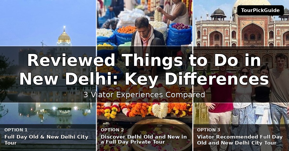 best reviewed things to do in New Delhi – three Viator experiences compared