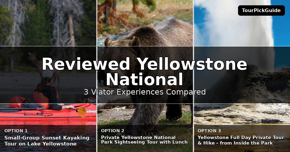 best reviewed Yellowstone National Park tours – three Viator experiences compared
