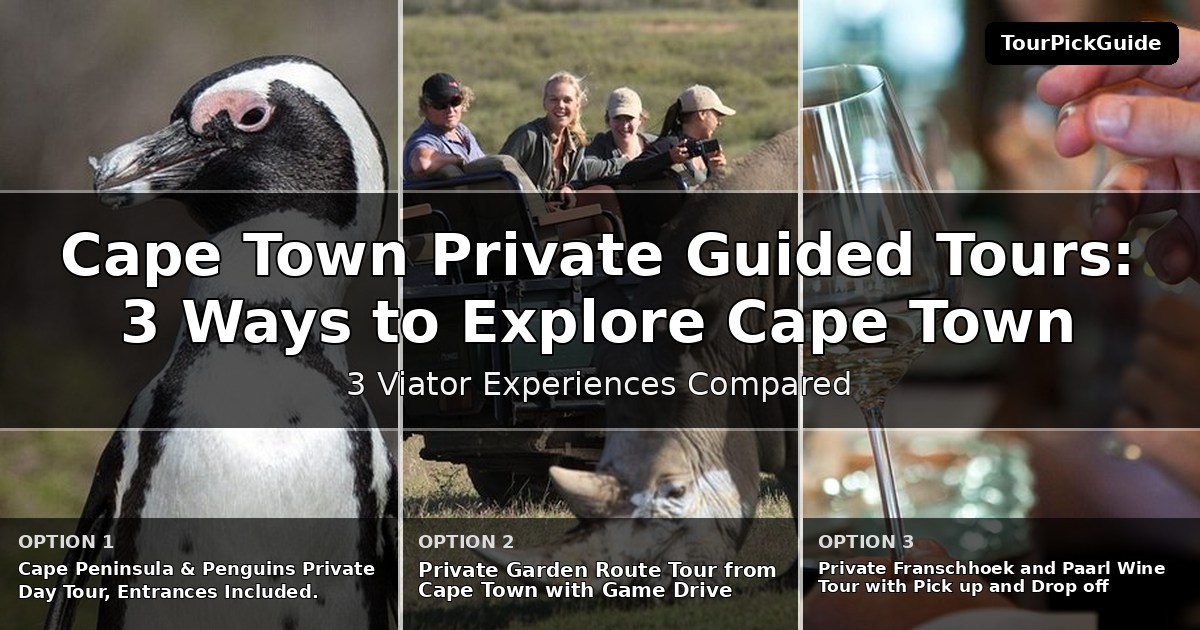 Cape Town private guided tours – three Viator experiences compared