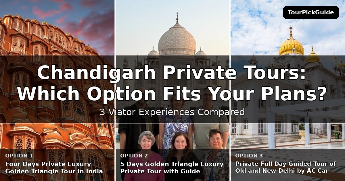 Chandigarh private tours – three Viator experiences compared