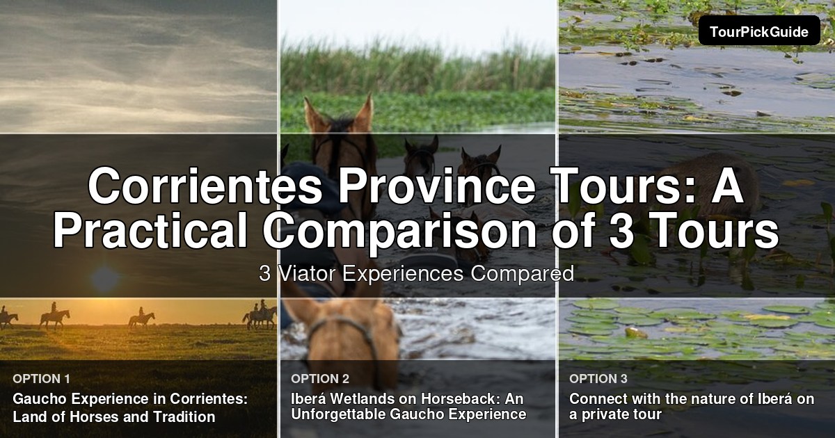 Corrientes Province tours – three Viator experiences compared