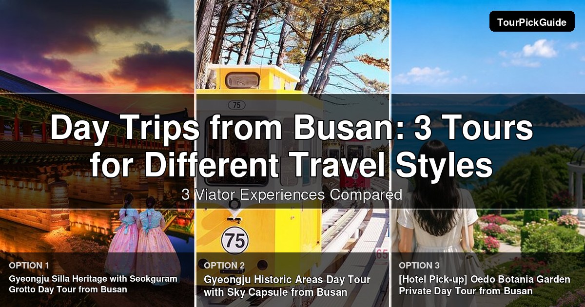 day trips from Busan – three Viator experiences compared