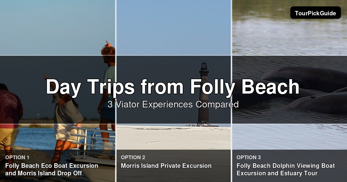 day trips from Folly Beach – three Viator experiences compared