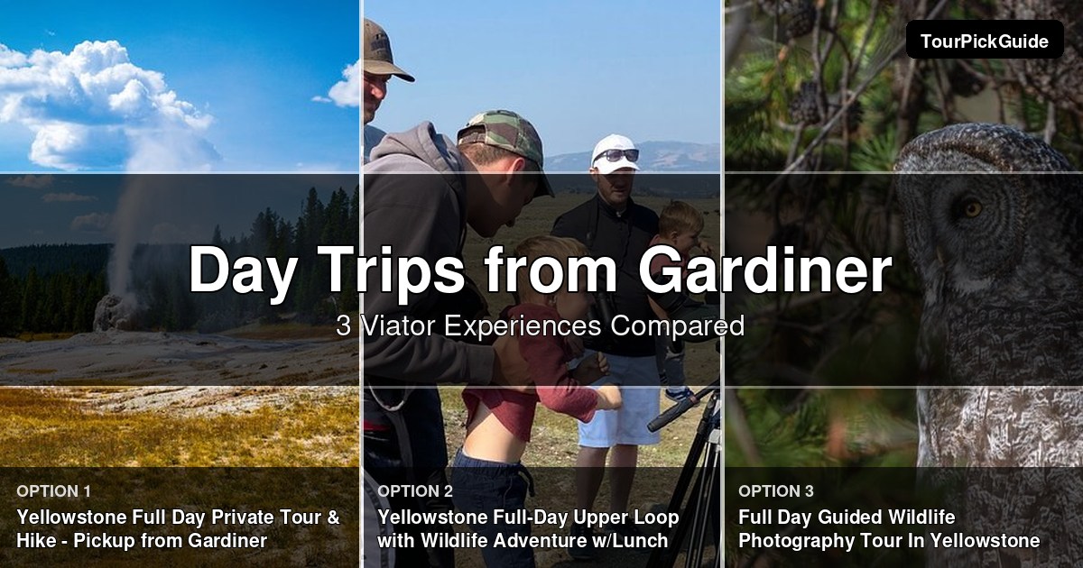 day trips from Gardiner – three Viator experiences compared