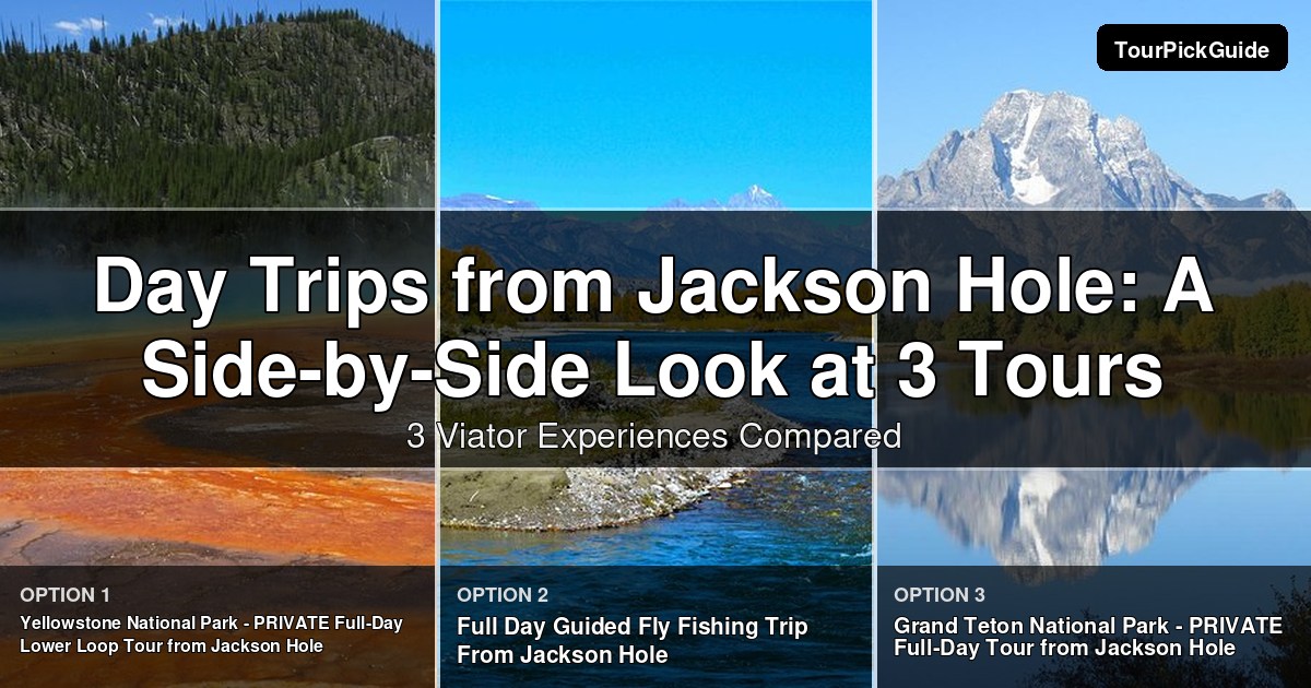 day trips from Jackson Hole – three Viator experiences compared