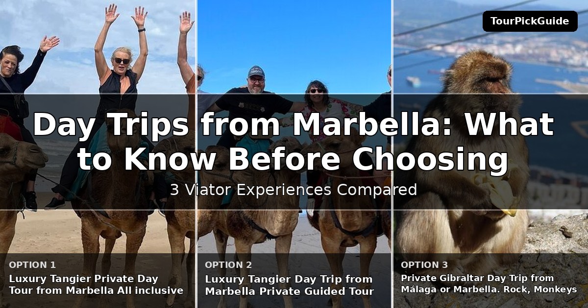 day trips from Marbella – three Viator experiences compared