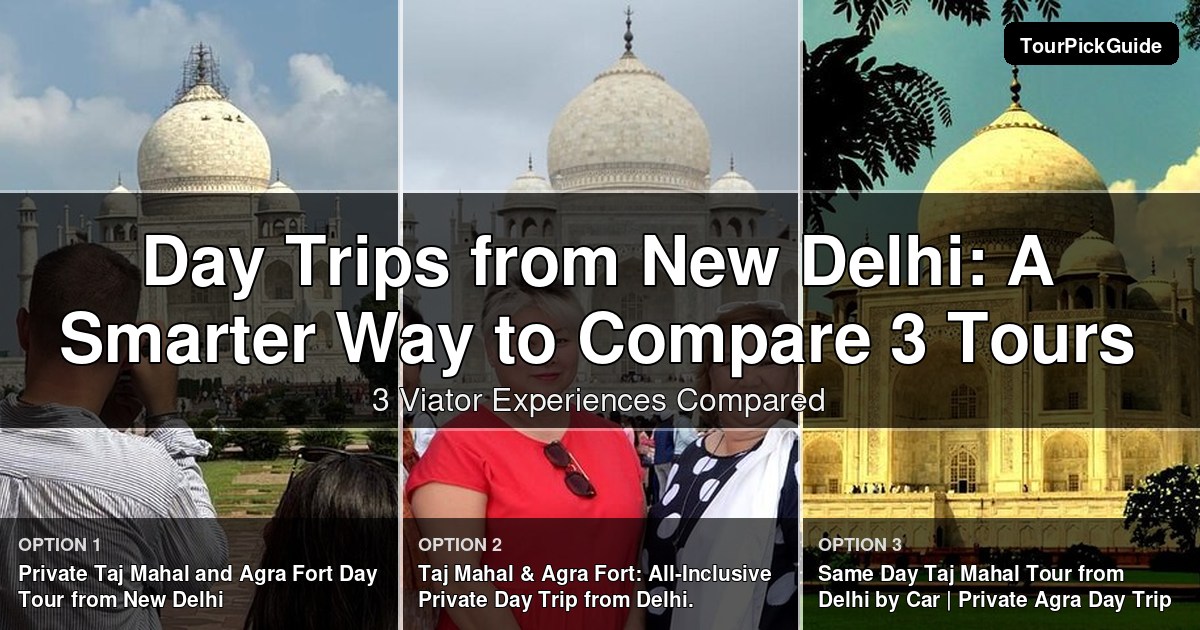 day trips from New Delhi – three Viator experiences compared
