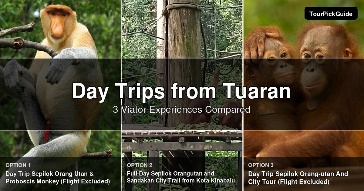day trips from Tuaran – three Viator experiences compared