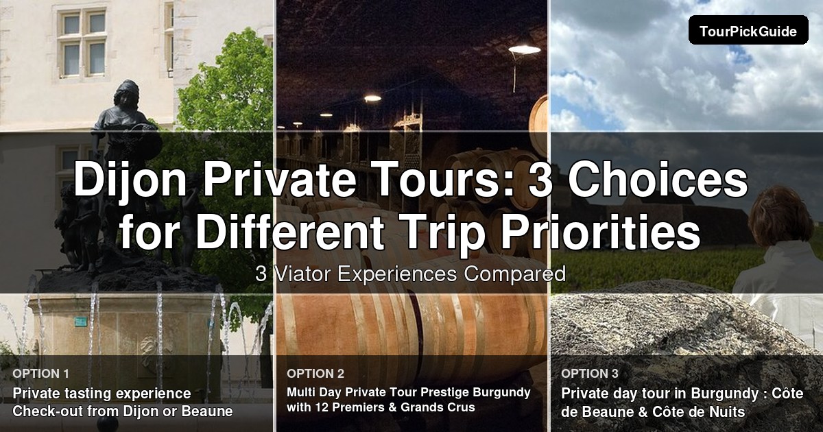 Dijon private tours – three Viator experiences compared