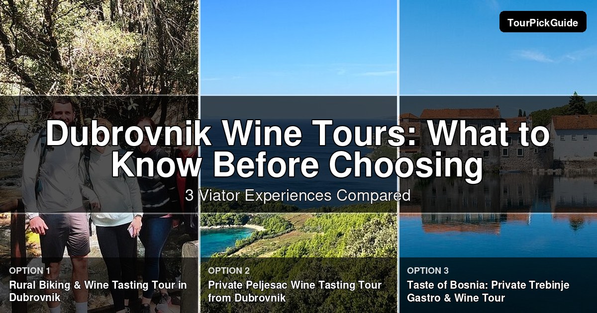 Dubrovnik wine tours – three Viator experiences compared