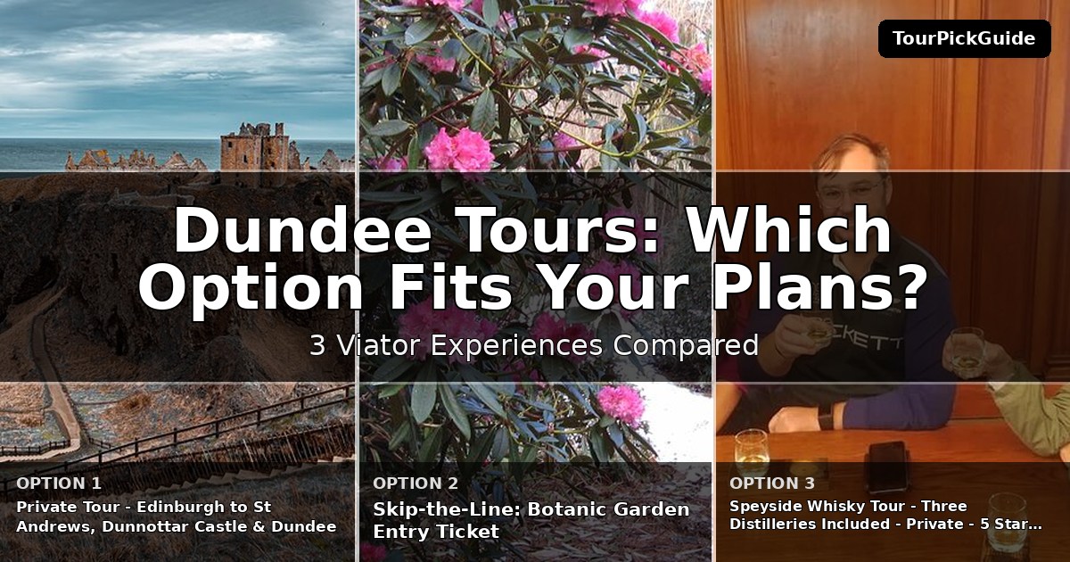 Dundee tours – three Viator experiences compared