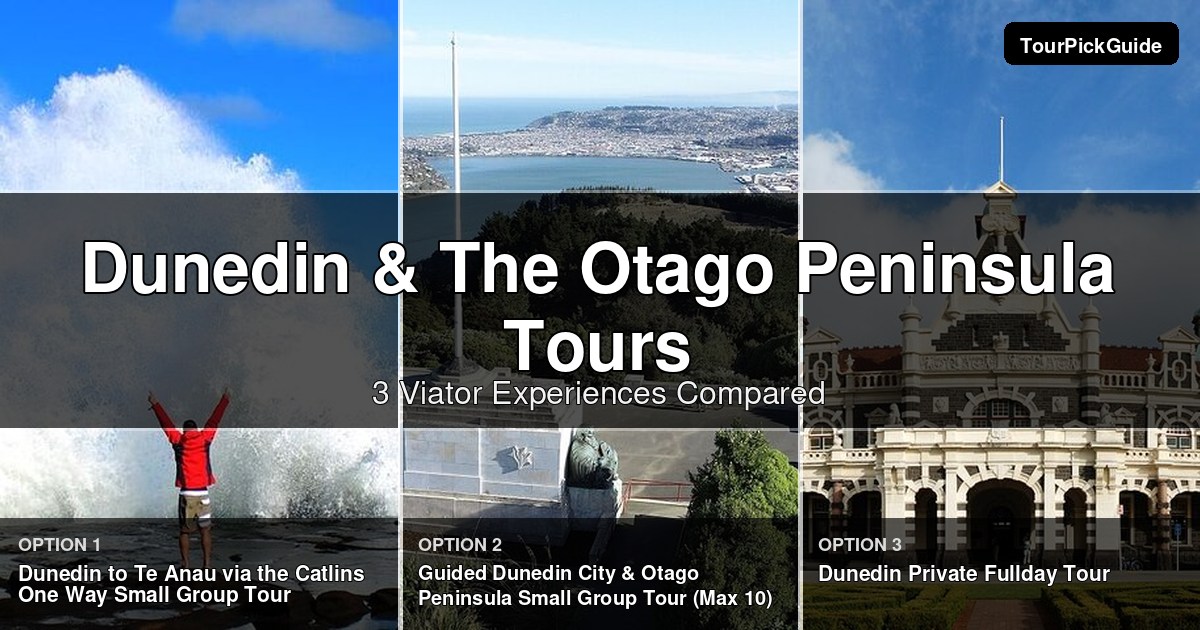 Dunedin & The Otago Peninsula tours – three Viator experiences compared