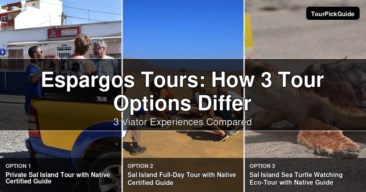 Espargos tours – three Viator experiences compared