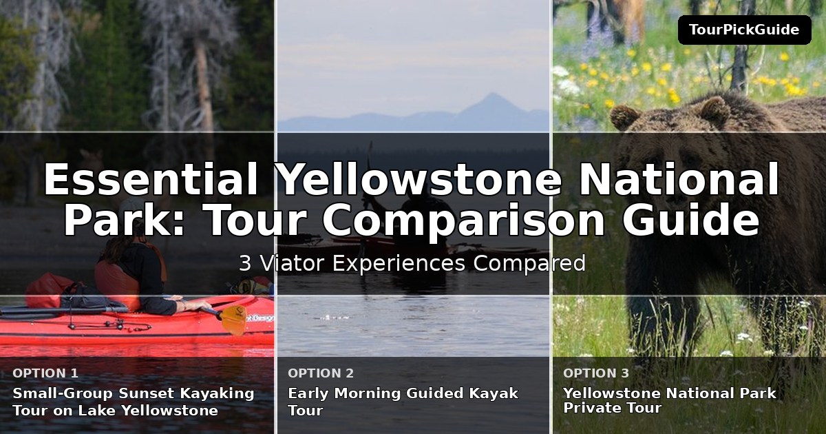 essential Yellowstone National Park tours – three Viator experiences compared