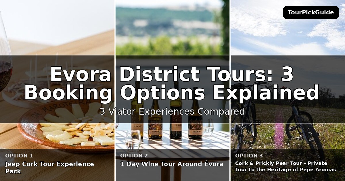 Evora District tours – three Viator experiences compared