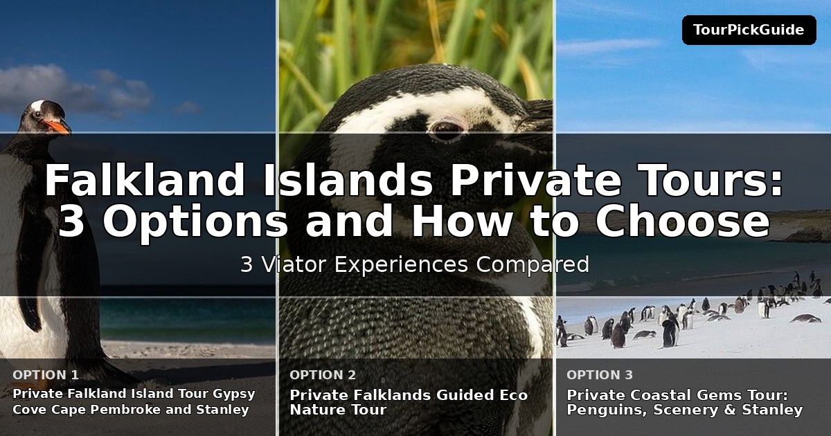 Falkland Islands private tours – three Viator experiences compared