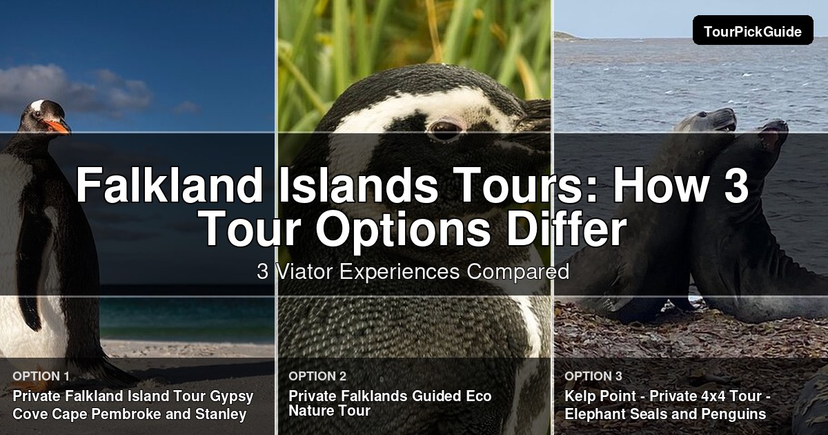 Falkland Islands tours – three Viator experiences compared