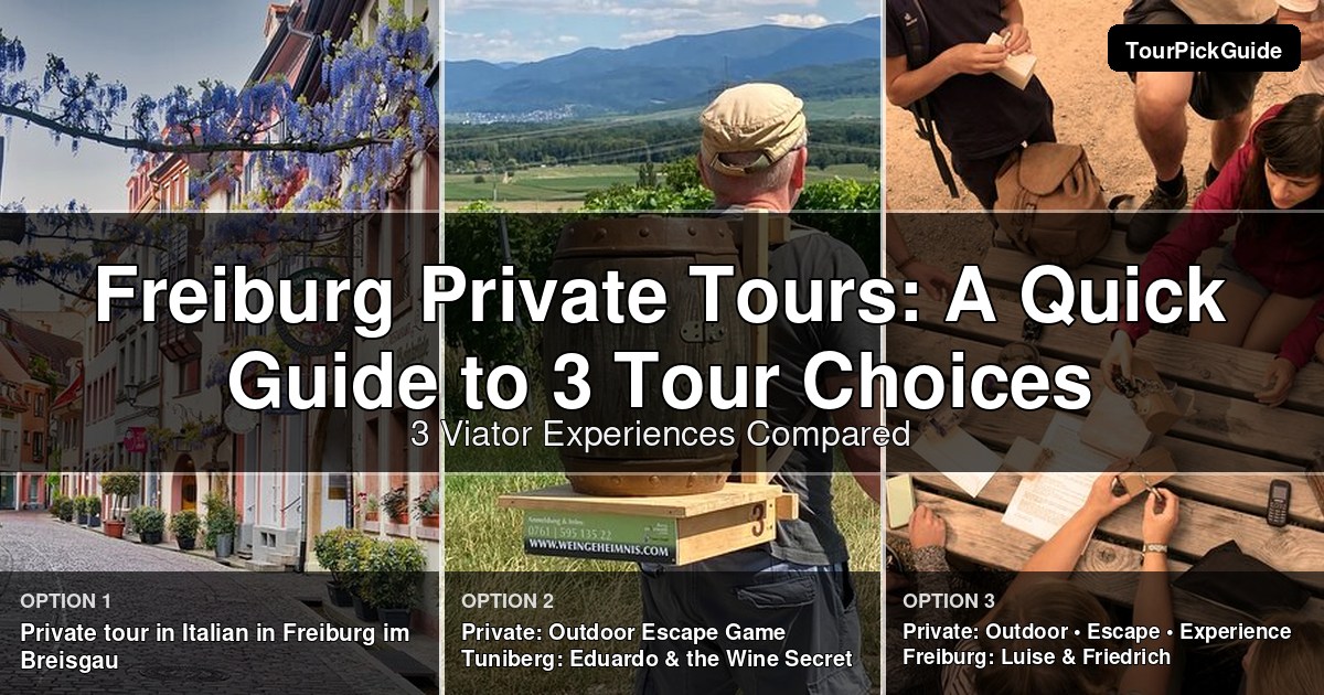 Freiburg private tours – three Viator experiences compared