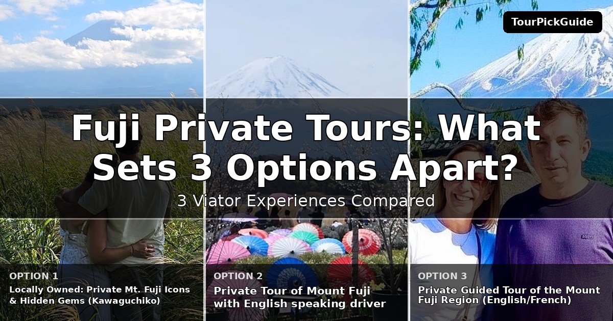 Fuji private tours – three Viator experiences compared