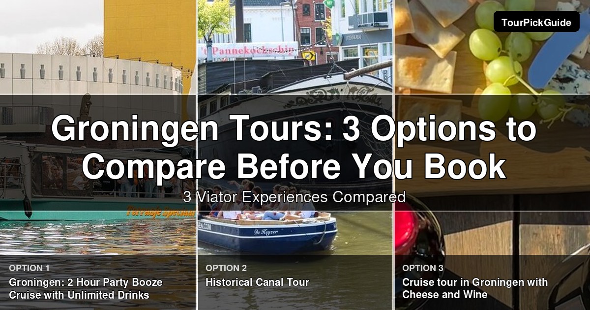 Groningen tours – three Viator experiences compared