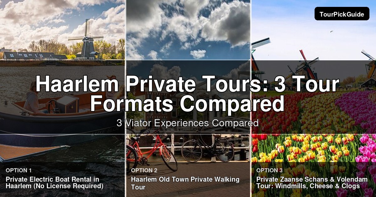 Haarlem private tours – three Viator experiences compared