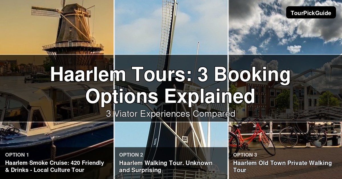Haarlem tours – three Viator experiences compared