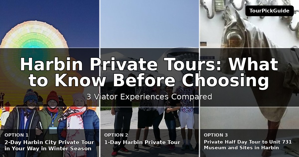 Harbin private tours – three Viator experiences compared