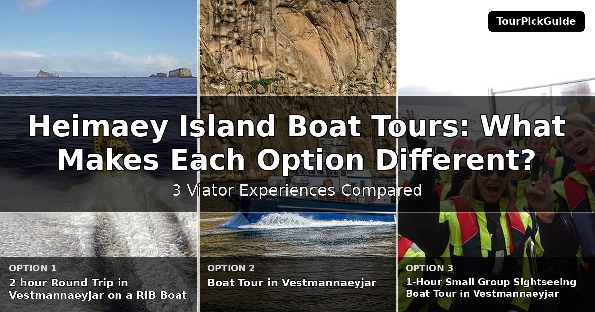 Heimaey Island boat tours – three Viator experiences compared