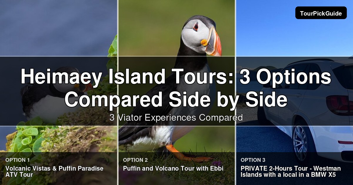 Heimaey Island tours – three Viator experiences compared