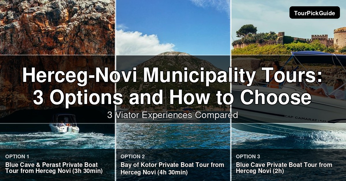 Herceg-Novi Municipality tours – three Viator experiences compared