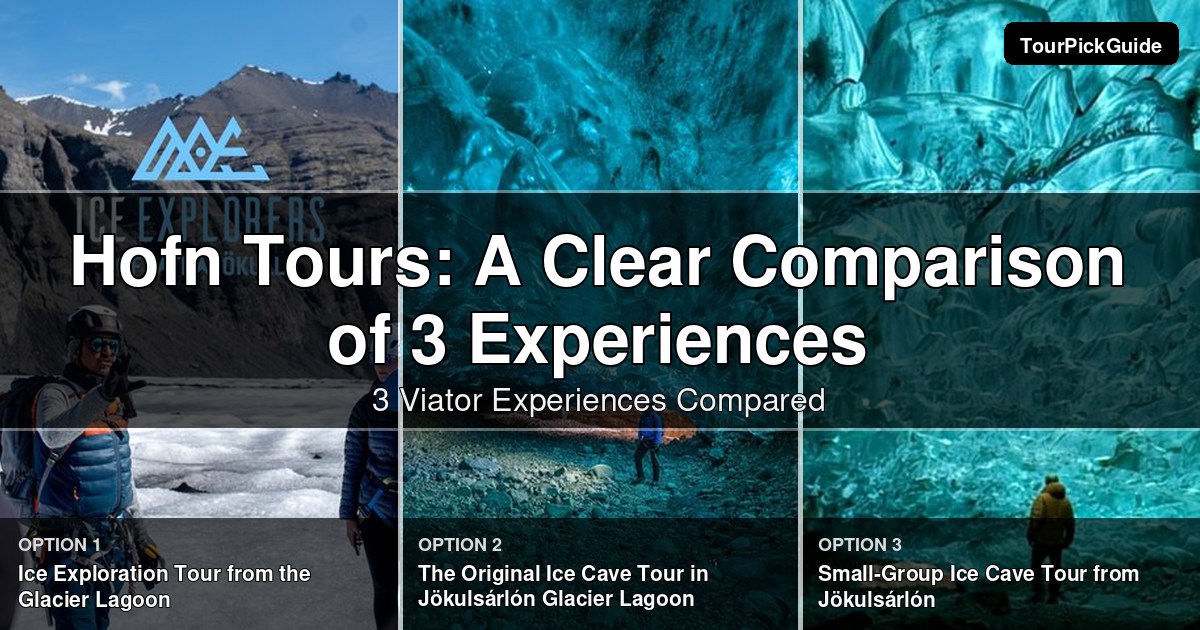 Hofn tours – three Viator experiences compared