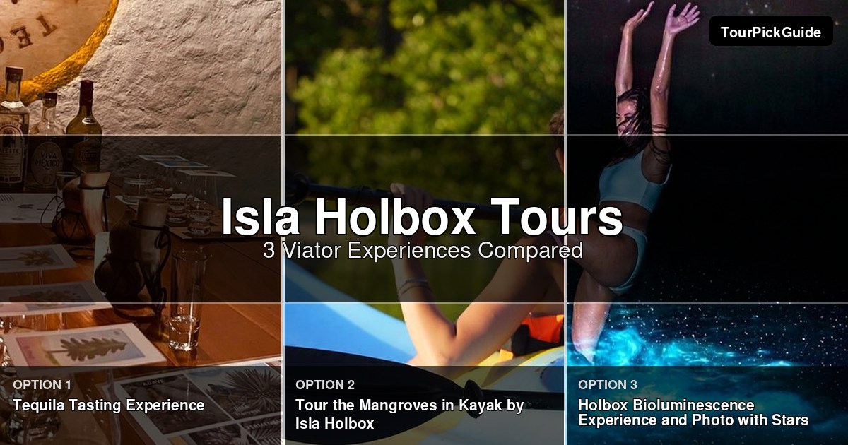 Isla Holbox tours – three Viator experiences compared