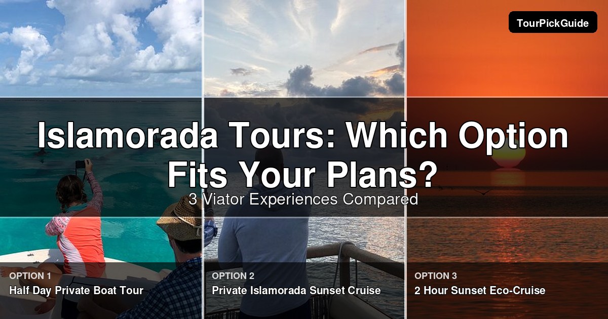 Islamorada tours – three Viator experiences compared
