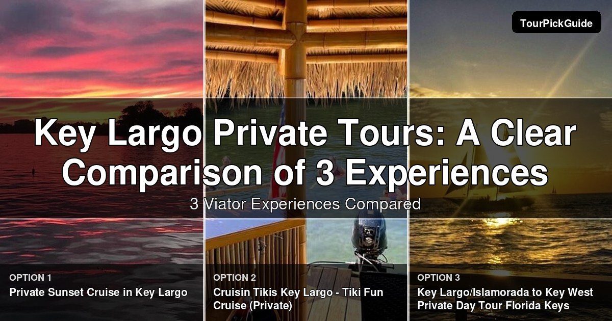 Key Largo private tours – three Viator experiences compared