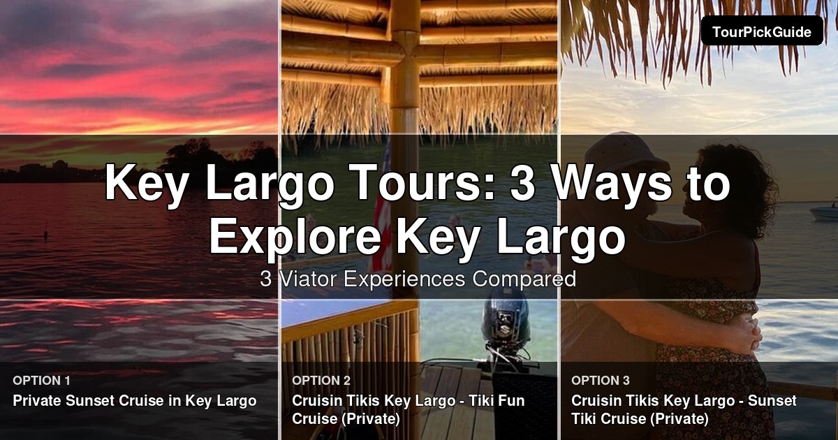Key Largo tours – three Viator experiences compared