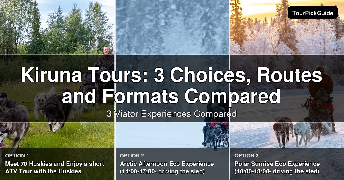 Kiruna tours – three Viator experiences compared