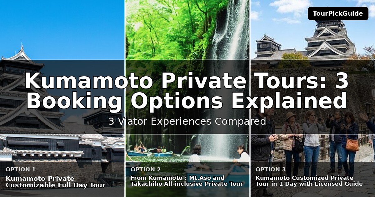Kumamoto private tours – three Viator experiences compared