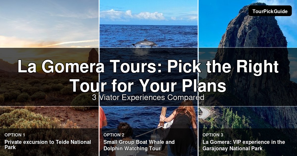 La Gomera tours – three Viator experiences compared