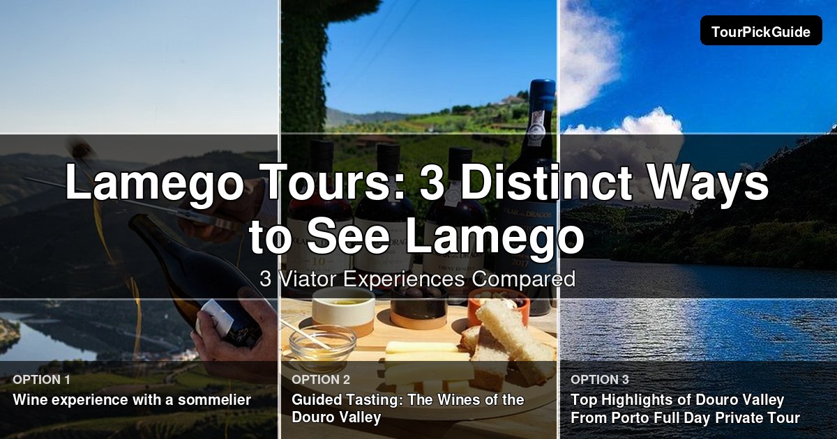 Lamego tours – three Viator experiences compared