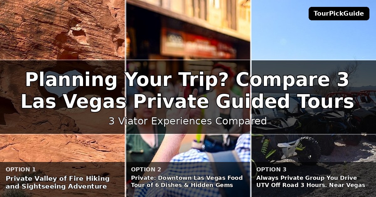 Las Vegas private guided tours – three Viator experiences compared