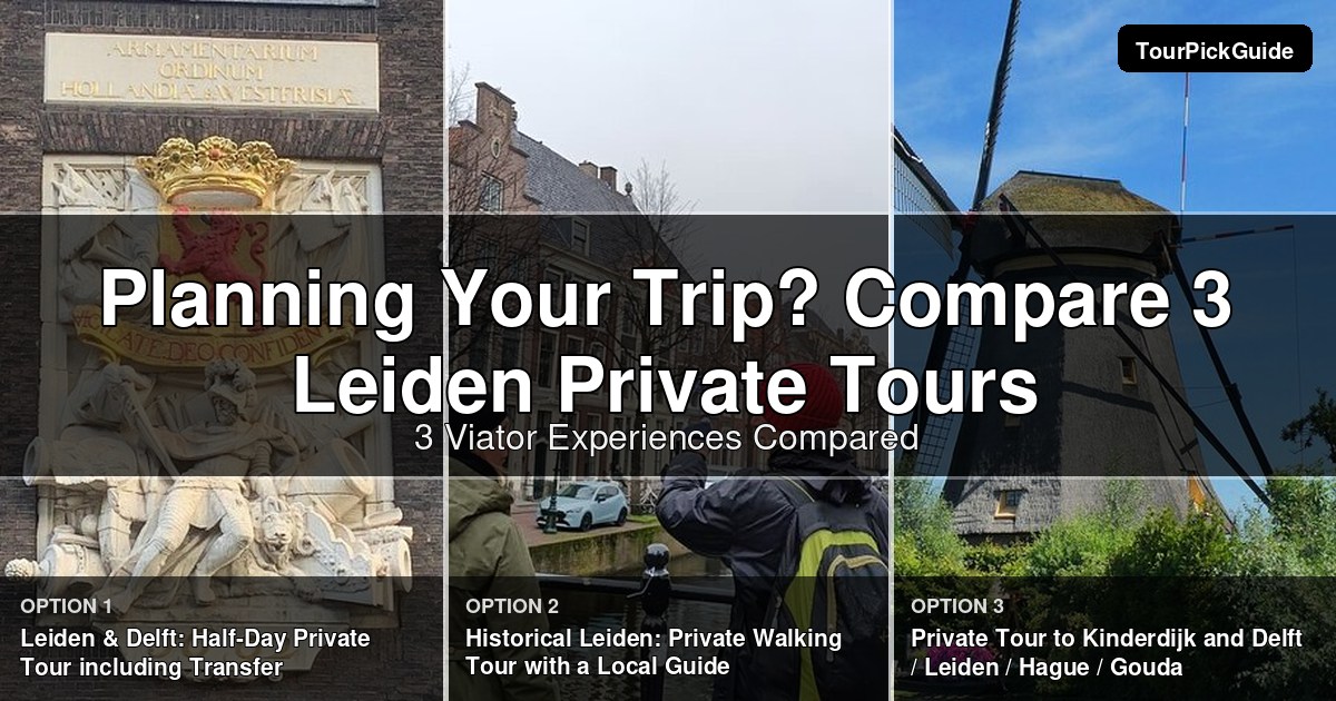 Leiden private tours – three Viator experiences compared