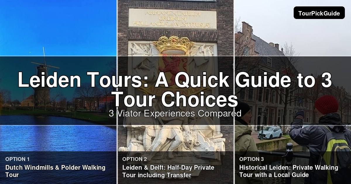 Leiden tours – three Viator experiences compared